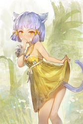 Rule 34 | 1girl, absurdres, animal ears, blunt bangs, breasts, cat ears, cat tail, chest jewel, clothes lift, daible, dress, dress lift, dress swimsuit, highres, lifting own clothes, nia (fancy sundress) (xenoblade), nia (xenoblade), one-piece swimsuit, short hair, silver hair, small breasts, solo, spoilers, swimsuit, tail, xenoblade chronicles (series), xenoblade chronicles 2, yellow eyes, yellow one-piece swimsuit