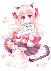 Rule 34 | 1girl, :o, animal ears, black skirt, blonde hair, blush, bow, cat ears, cat girl, cat tail, commentary request, fingernails, frilled shirt, frilled skirt, frills, hair between eyes, hair ribbon, head tilt, holding, jacket, leg ribbon, long hair, long sleeves, looking at viewer, maid headdress, nail polish, notebook, original, panties, parted lips, red bow, red eyes, red ribbon, ribbon, shikito (yawa0w0), shirt, sidelocks, simple background, skirt, solo, striped clothes, striped panties, striped thighhighs, tail, tail ornament, tail ribbon, tareme, thighhighs, translation request, underwear, very long hair, wavy hair, white background, white jacket, white nails, yellow shirt
