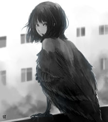 Rule 34 | 1girl, animal feet, back, backlighting, building, feathered wings, feathers, female focus, from behind, greyscale, harpy, looking back, medium hair, monochrome, monster girl, original, solo, tsk img, turning head, winged arms, wings