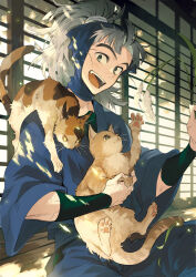 Rule 34 | 1boy, absurdres, animal, animal on shoulder, architecture, arm guards, blue headwear, blue pants, calico, cat, cat on shoulder, cattail, dappled sunlight, day, detached hood, east asian architecture, grey eyes, grey hair, hand up, highres, holding, holding animal, holding cat, holding plant, hood, hood up, japanese clothes, long hair, long sleeves, looking at viewer, male focus, ninja, open mouth, orange eyes, pants, plant, playing, ponytail, rakudai ninja rantarou, remon (10112), sitting, smile, sunlight, takeya hachizaemon, teeth, tongue, upper teeth only, wooden floor