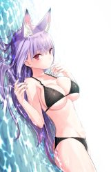 Rule 34 | 1girl, animal ear fluff, animal ears, artist request, ass, bikini, black bikini, breasts, closed mouth, collarbone, fox ears, halterneck, highres, kamishiro natsume, large breasts, long hair, looking at viewer, lying, melty+, nail polish, on back, partially submerged, purple hair, red eyes, sideboob, sidelocks, simple background, solo, string bikini, swimsuit, thighs, very long hair, virtual youtuber, water, white background
