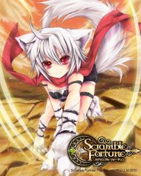Rule 34 | 1girl, ahoge, all fours, animal ears, ichiru (yuzu-an), looking at viewer, official art, red eyes, scarf, scramble fortune, short hair, silver hair, smile, solo, tail, wolf ears, wolf paws, wolf tail