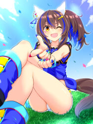 Rule 34 | 1girl, animal ears, aqua nails, blue footwear, blue hair, blue nails, blue shirt, blue sky, brown hair, cloud, cloudy sky, colored inner hair, commentary request, confetti, daitaku helios (umamusume), ear covers, ear piercing, fang, finger gun, hair ornament, hairclip, highres, horse ears, horse girl, horse tail, medium hair, multicolored hair, multicolored nails, nail polish, on grass, on ground, one eye closed, open mouth, outdoors, piercing, pink nails, shirt, short shorts, short sleeves, shorts, side ponytail, skin fang, sky, smile, solo, star (symbol), star hair ornament, streaked hair, tail, tied shirt, umamusume, watarui, white shorts