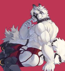 Rule 34 | 1boy, animal collar, animal ear fluff, bara, body fur, claws, collar, commentary, english commentary, expired butter, furry, furry male, hand up, highres, looking at viewer, looking back, male focus, mechanical legs, muscular, muscular male, parted lips, red background, red eyes, short hair, simple background, sitting, solo, von lycaon, white fur, white hair, wolf boy, zenless zone zero