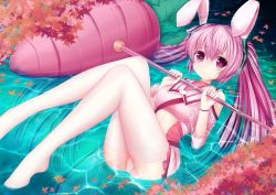 Rule 34 | 1girl, animal ears, rabbit ears, carrot, detached sleeves, hatsune miku, legs, long hair, looking at viewer, lying, on back, panties, partially submerged, pink eyes, pink hair, solo, thighhighs, twintails, underwear, very long hair, vocaloid, zheyi parker