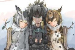 Rule 34 | 3girls, above clouds, asymmetrical hair, bird, black hair, branch, brown hair, closed eyes, cloud, commentary, english commentary, eurasian eagle owl (kemono friends), fog, furry, furry female, green eyes, grey hair, grey shirt, head wings, holding, holding phone, kemono friends, layered sleeves, leaning on person, long sleeves, mountainous horizon, multiple girls, northern white-faced owl (kemono friends), on bench, outdoors, panties (pantsu-pirate), phone, shirt, shoebill, shoebill (kemono friends), short hair, short over long sleeves, short sleeves, sleeping, wings