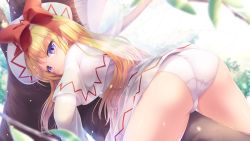 Rule 34 | 1girl, ass, blonde hair, blue eyes, blush, capelet, dress, fairy, fairy wings, from behind, hat, highres, lily white, long hair, long sleeves, looking back, lzh, panties, solo, touhou, tree, underwear, white capelet, white dress, white hat, white panties, wings