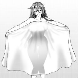 Rule 34 | 1girl, blush, braid, breasts, censored, censored nipples, collarbone, commentary request, greyscale, hair between eyes, head tilt, holding, hong meiling, koyubi (littlefinger1988), large breasts, looking at viewer, monochrome, narrow waist, nude, outstretched arms, scar, see-through silhouette, smile, solo, spread arms, thigh gap, touhou, twin braids