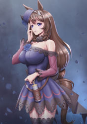 Rule 34 | 1girl, absurdres, animal ears, bare shoulders, belt, black thighhighs, blue dress, braid, breasts, brown belt, brown hair, commentary, cosplay, cowboy shot, dress, hand up, highres, horse ears, lace, lace-trimmed dress, lace-trimmed legwear, lace trim, large breasts, long hair, long sleeves, looking at viewer, low-tied long hair, off-shoulder dress, off shoulder, parted lips, petals, purple eyes, purple headwear, rice shower (umamusume), rice shower (umamusume) (cosplay), shibakarisena, short dress, solo, standing, super creek (umamusume), thighhighs, umamusume, very long hair, zettai ryouiki