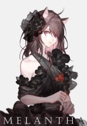 Rule 34 | 1girl, absurdres, ahoge, alternate costume, animal ear fluff, animal ears, arknights, black dress, black flower, black ribbon, brown hair, cat ears, character name, chinese commentary, closed mouth, collarbone, commentary, dress, flower, gou haihaihaihai, grey background, hair flower, hair ornament, hair over one eye, hair ribbon, highres, holding, holding flower, looking at viewer, melantha (arknights), pink eyes, red flower, red rose, ribbon, rose, simple background, single bare shoulder, solo, upper body