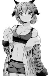 Rule 34 | 1girl, breasts, cleavage, dot nose, eurasian eagle owl (kemono friends), eyelashes, frown, fur trim, greyscale, highres, jacket, kemono friends, large breasts, light frown, monochrome, navel, open clothes, open jacket, owl girl, short hair, shorts, simple background, solo, standing, suicchonsuisui, tank top