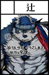 Rule 34 | !?, 1boy, animal ears, bara, black border, blue fur, blue hair, blush, border, chest hair, commentary request, furry, furry male, grey fur, grey hair, headband, horkeu kamui, jacket, jacket on shoulders, kano (kano to10), large pectorals, looking at viewer, male focus, multicolored hair, muscular, muscular male, nipples, no shirt, parted lips, pectorals, promotional art, scar, scar on chest, scar on face, short hair, solo, spoken interrobang, sweatdrop, tokyo houkago summoners, translation request, twitter username, two-tone fur, two-tone hair, upper body, white background, wolf boy, wolf ears, yellow eyes