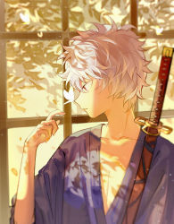 Rule 34 | 1boy, absurdres, bug, butterfly, butterfly on nose, chinese commentary, collarbone, commentary, gintama, hand up, highres, insect, japanese clothes, kimono, leaf, looking at animal, looking to the side, male focus, parted lips, purple kimono, qing yu, red eyes, sakata gintoki, sheath, sheathed, short hair, solo, sword, upper body, weapon, white hair, window