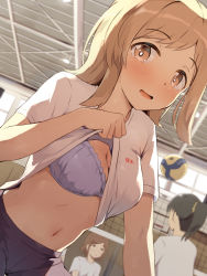 Rule 34 | 3girls, :o, ball, black hair, black shorts, blush, bra, breasts, brown eyes, brown hair, ceiling, ceiling light, cleavage, clothes lift, eyebrows hidden by hair, flashing, gym, gym uniform, hair ornament, hair scrunchie, highres, idolmaster, idolmaster shiny colors, indoors, lavender bra, lifted by self, light brown hair, long hair, medium breasts, multiple girls, navel, open mouth, ponytail, sakuragi mano, scrunchie, seneto, shirt, shirt lift, short hair, short sleeves, shorts, smile, underwear, volleyball, volleyball (object), volleyball net, white shirt, window