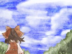 Rule 34 | 1girl, akihiyo, bow, brown hair, detached sleeves, female focus, from behind, hair bow, hakurei reimu, japanese clothes, miko, nature, outdoors, plant, sky, solo, touhou