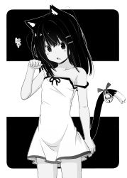 Rule 34 | 1girl, animal ear fluff, animal ears, bare arms, bare shoulders, bell, black background, blush, cat ears, cat girl, cat tail, chinchin kemokemo, collarbone, commentary request, dress, fujisaki yuu, greyscale, hair between eyes, hair ornament, hairclip, hand up, jingle bell, long hair, monochrome, narugami yuzuriha, paw pose, ribbon, sleeveless, sleeveless dress, solo, standing, strap slip, tail, tail bell, tail ornament, tail raised, tail ribbon, two-tone background, white background