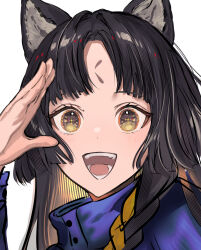 Rule 34 | 1girl, :d, animal ear fluff, animal ears, arknights, black hair, blue jacket, blush, braid, commentary, dog ears, facial mark, forehead mark, gawako, highres, jacket, looking at viewer, medium hair, open mouth, parted bangs, portrait, saga (arknights), simple background, single braid, smile, solo, symbol-only commentary, teeth, white background, yellow eyes