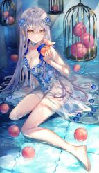 Rule 34 | 1girl, absurdres, animal, barefoot, bird, birdcage, blue flower, blue ribbon, blurry, breasts, cage, choker, cleavage, commentary, copyright request, depth of field, english commentary, flower, food, fruit, gem, hair between eyes, highres, holding, holding food, lingerie, long hair, looking at viewer, medium breasts, negligee, parrot, peach, ribbon, ripples, samo cha, see-through, shallow water, silver hair, sitting, solo, underwear, very long hair, water, wet, yellow eyes