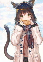 Rule 34 | 1girl, animal ears, black hair, blush, cat ears, cat tail, cloud, coat, commentary request, day, duffel coat, eating, food, green eyes, highres, holding, holding food, long hair, long sleeves, looking at viewer, open clothes, open coat, original, outdoors, plaid, plaid scarf, ran&#039;ou (tamago no kimi), scarf, sky, solo, tail, taiyaki, upper body, wagashi, winter clothes, winter coat