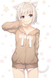 Rule 34 | animal ear fluff, animal ears, arm behind back, arm up, blue eyes, blush, brown jacket, cat ears, cat girl, cat tail, closed mouth, collarbone, commentary request, cowboy shot, drawstring, floral background, gluteal fold, highres, hood, hood down, hooded jacket, jacket, long sleeves, nijihashi sora, no pants, original, panties, short hair, silver hair, smile, solo, tail, tareme, underwear, white background, white panties, zipper, zipper pull tab