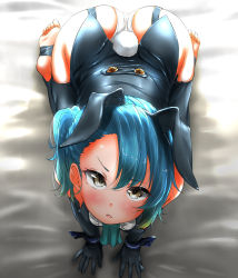 Rule 34 | 1girl, all fours, animal ears, ass, black gloves, blonde hair, blue hair, blush, bow, brown eyes, closed mouth, commentary request, elbow gloves, fake animal ears, fake tail, from above, fukae (kancolle), gloves, highres, kantai collection, leotard, looking at viewer, looking up, medium hair, multicolored hair, panties, playboy bunny, rabbit ears, rabbit tail, revision, side ponytail, solo, tail, tama (tamago), underwear, white panties