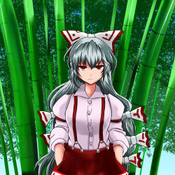 Rule 34 | 1girl, bamboo, bamboo forest, bow, expressionless, forest, fujiwara no mokou, hair bow, hair ribbon, hands in pockets, highres, long hair, looking at viewer, nature, pants, red eyes, ribbon, shirt, silver hair, solo, suspenders, touhou, upper body, very long hair, yasui nori