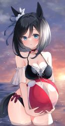 Rule 34 | 1girl, absurdres, animal ears, ball, bare shoulders, beachball, bikini, black bikini, black hair, blue eyes, blush, bow, breasts, cleavage, cloud, collarbone, commentary request, cowboy shot, detached sleeves, eishin flash (umamusume), etesumsom, highres, holding, holding ball, horizon, horse ears, horse girl, horse tail, large breasts, looking at viewer, medium hair, outdoors, parted lips, solo, striped, striped bow, sunset, swimsuit, tail, umamusume, wading, water, wet