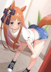 Rule 34 | 1girl, absurdres, animal ears, bent over, blue eyes, blush, brown hair, casual, commentary request, grass wonder (umamusume), hair ribbon, highres, horse ears, horse girl, horse tail, pinponpaaru, ribbon, shirt, shoes, shorts, solo, sweatdrop, tail, tile floor, tiles, umamusume