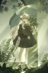 Rule 34 | 1girl, absurdres, animal ears, arknights, black dress, black footwear, boots, broken glass, close-up, commentary request, dress, full body, glass, grey hair, heavyrain (arknights), heavyrain (tranquil moss) (arknights), highres, holding, holding umbrella, long hair, long sleeves, looking at viewer, official alternate costume, overgrown, plant, puffy sleeves, purple eyes, ruins, solo, standing, tail, tuzhate, umbrella, very long hair