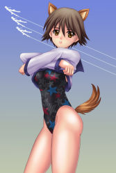 Rule 34 | 1girl, animal ears, brown eyes, brown hair, commission, competition swimsuit, cowboy shot, dog ears, highres, miyafuji yoshika, one-piece swimsuit, sailor collar, sawwei005, shirt, short hair, solo focus, strike witches, swimsuit, tail, undressing, world witches series