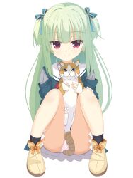 Rule 34 | 1girl, absurdres, animal, blue ribbon, blunt bangs, blunt ends, cat, closed mouth, commentary, eyes visible through hair, full body, green hair, hair ribbon, highres, hime cut, holding, holding animal, holding cat, kaon zz, knees up, light blush, long hair, looking at viewer, murasame (senren), official alternate costume, panties, panty peek, pink panties, polka dot, polka dot panties, red eyes, ribbon, sailor collar, school uniform, senren banka, sidelocks, simple background, sitting, smile, solo, split mouth, straight-on, straight hair, thighs, two side up, underwear, very long hair, white background, white sailor collar, yellow footwear