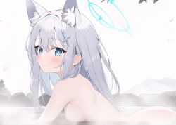 Rule 34 | 1girl, animal ear fluff, animal ears, blue archive, blue eyes, blush, breasts, closed mouth, cross hair ornament, extra ears, from side, goyain, grey hair, hair between eyes, hair ornament, halo, highres, long hair, looking at viewer, looking to the side, medium breasts, nude, partially submerged, shiroko (blue archive), solo, white background