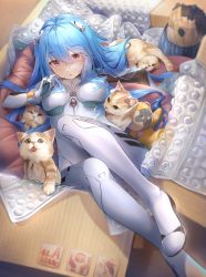 Rule 34 | 1girl, absurdres, alternate hair length, alternate hairstyle, aqua hair, ayanami rei, barrier mao, blush, bodysuit, box, breasts, cat, evangelion: 3.0+1.0 thrice upon a time, from above, gloves, hair between eyes, highres, huge filesize, in box, in container, interface headset, large breasts, long hair, looking at viewer, neon genesis evangelion, pilot suit, rebuild of evangelion, red eyes, solo, very long hair
