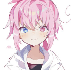 Rule 34 | 1boy, black shirt, blue eyes, blush, bright pupils, closed mouth, collarbone, commentary request, facing viewer, fang, heterochromia, highres, hood, hood down, hoodie, looking at viewer, male focus, original, pink eyes, pink hair, raito-kun (uenomigi), shirt, short hair, short hair with long locks, sidelocks, simple background, skin fang, smile, solo, tagme, uenomigi, upper body, white background, white hoodie