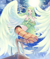 Rule 34 | 1girl, absurdres, bird legs, breasts, cleavage, commentary request, crazy otama, english text, eyelashes, feathered wings, feathers, green hair, green shirt, harpy, highres, large breasts, long hair, looking at viewer, midriff, monet (one piece), monster girl, navel, one piece, shirt, solo, striped legwear, sun, tail, wavy hair, winged arms, wings, yellow eyes