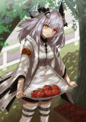 Rule 34 | 1girl, apple, arknights, armband, coat, commentary request, dress, feather hair, food, fruit, grey coat, highres, long sleeves, looking at viewer, open clothes, open coat, orange eyes, owl ears, owl girl, pointy hair, ptilopsis (arknights), ptilopsis (elite ii) (arknights), rhine lab logo, shironekoban, short hair, silver hair, solo, standing, thigh strap, thighhighs, tree, white dress, white thighhighs