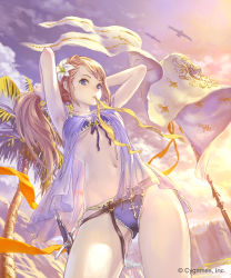 Rule 34 | 1girl, armpits, arms up, banner, bikini, bird, blonde hair, blue eyes, blush, breasts, cloud, contrapposto, cowboy shot, cygames, evening, flower, front-tie bikini top, front-tie top, gluteal fold, granblue fantasy, hair flower, hair ornament, hairband, hairdressing, hibiscus, highres, hisakata souji, jeanne d&#039;arc (granblue fantasy), lens flare, light rays, long hair, looking at viewer, medium breasts, mouth hold, navel, outdoors, palm tree, purple bikini, purple ribbon, ribbon, see-through, sheath, sheathed, shingeki no bahamut, solo, standing, stomach, sunbeam, sunlight, sunset, swimsuit, sword, thighs, tree, tying hair, underboob, very long hair, weapon