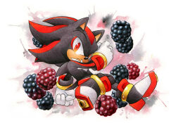 Rule 34 | 1boy, berry, blackberry (fruit), finik, food, fruit, furry, furry male, gloves, looking at viewer, red eyes, shadow the hedgehog, shoes, solo, sonic (series), white gloves