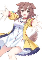 Rule 34 | 1girl, :d, animal collar, animal ears, blush, bone hair ornament, braid, breasts, brown hair, cleavage, collar, commentary, dog ears, dog girl, dog tail, double-parted bangs, dress, fangs, feet out of frame, foreshortening, hair ornament, highres, hololive, inugami korone, inugami korone (1st costume), jacket, looking at viewer, low twin braids, medium breasts, medium hair, open clothes, open jacket, open mouth, outstretched arms, red collar, red eyes, simple background, smile, solo, standing, tail, teeth, twin braids, upper teeth only, virtual youtuber, white background, white dress, wristband, yellow jacket, yuuki hagure
