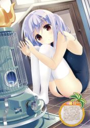 Rule 34 | 1girl, absurdres, bare arms, bare shoulders, blue one-piece swimsuit, blush, breasts, brown eyes, child, counter, cup, day, dengeki moeou, dutch angle, feet, hair between eyes, hands up, head tilt, heater, highres, indoors, knees to chest, light purple hair, long hair, looking at viewer, no shoes, on floor, one-piece swimsuit, original, scan, school swimsuit, sidelocks, sitting, smile, solo, swimsuit, teacup, thighhighs, tile floor, tiles, tsukiji, two side up, warming, warming hands, white thighhighs, window