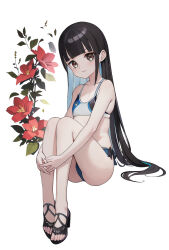 Rule 34 | 1girl, armpit crease, bikini, black footwear, black hair, blue bikini, blue hair, brown eyes, closed mouth, colored inner hair, eyebrows hidden by hair, flat chest, full body, highres, hugging own legs, kobuchizawa shirase, lips, long bangs, long hair, looking at viewer, multicolored hair, onomachi (ted), sandals, simple background, sitting, solo, sora yori mo tooi basho, swimsuit, very long hair, white background