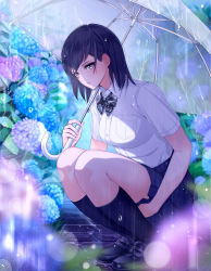 Rule 34 | 1girl, black hair, blue skirt, blue socks, blurry, blush, bokeh, breasts, depth of field, fed (giba), flower, highres, holding, holding clothes, holding skirt, holding umbrella, hydrangea, kneehighs, legs together, loafers, looking at viewer, medium breasts, original, outdoors, parted lips, pleated skirt, rain, ribbed legwear, school uniform, shoes, short sleeves, skirt, socks, solo, squatting, transparent, transparent umbrella, umbrella, yellow eyes