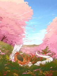 Rule 34 | amaterasu (ookami), animal, artist request, bad id, bad pixiv id, cloud, day, fire, flower, grass, highres, mountain, no humans, ookami (game), petals, scenery, sky, solo, tattoo, toshiyu (10shi yu), tree, weapon, wolf