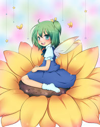 Rule 34 | 1girl, bad id, bad pixiv id, blush, bow, bug, butterfly, daiyousei, embodiment of scarlet devil, fairy, female focus, flower, full body, green eyes, green hair, hair bow, highres, insect, momo michi, plant, short hair, side ponytail, sitting, socks, solo, sunflower, touhou, wariza, wings