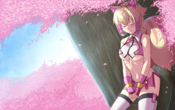 Rule 34 | 1girl, alternate color, alternate hair color, animal ears, antenna hair, arc system works, blazblue, blazblue: continuum shift, blonde hair, breasts, cherry blossoms, closed eyes, fingerless gloves, gloves, makoto nanaya, midriff, navel, nose bubble, petals, pink thighhighs, purinnssu, sleeping, solo, squirrel ears, squirrel tail, tail, thighhighs, tree, underboob