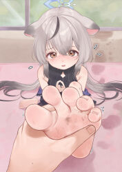Rule 34 | 1girl, 1other, animal ears, bare shoulders, barefoot, black dress, black hair, blue archive, blue halo, blush, brown eyes, commentary request, diamond cutout, dress, feet, flying sweatdrops, foot focus, foreshortening, gradient hair, grey hair, halo, highres, holding feet, indoors, kokona (blue archive), long hair, making-of available, multicolored hair, paid reward available, parted lips, pov, pov hands, rryiup, sitting, soles, solo focus, streaked hair, tiger ears, tiger girl, toenails, toes, very long hair, wavy mouth