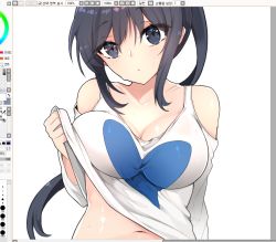 Rule 34 | 1girl, bad id, bad pixiv id, black hair, blue eyes, blush, breasts, cleavage, clothes lift, collarbone, female focus, fighter (dungeon and fighter), huyou (awegk), large breasts, long hair, looking at viewer, navel, original, painttool sai, shirt, shirt lift, solo, sweat, third-party edit, upper body