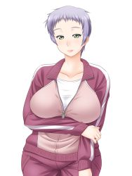 Rule 34 | 1girl, bad id, bad pixiv id, breasts, green eyes, large breasts, light smile, maeda r44, original, purple hair, short hair, solo, track suit, transparent background, white background, wide hips, zipper
