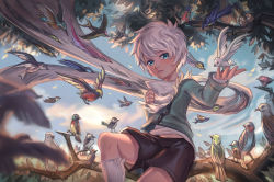 Rule 34 | 1boy, absurdres, bird, blue eyes, branch, cloud, cloudy sky, commentary request, highres, in tree, male focus, midriff, midriff peek, morning, original, outdoors, scenery, short hair, shorts, sitting, sitting in tree, sky, slashing, solo focus, tree, whinghope, white hair, white legwear