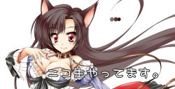 Rule 34 | 1girl, animal ears, bad id, bad pixiv id, bare shoulders, blush, breasts, brooch, brown hair, cleavage, collar, detached sleeves, dress, fingernails, frills, imaizumi kagerou, jewelry, kamiya tomoe, large breasts, long hair, long sleeves, niconico, red eyes, smile, solo, touhou, white background, wide sleeves, wolf ears